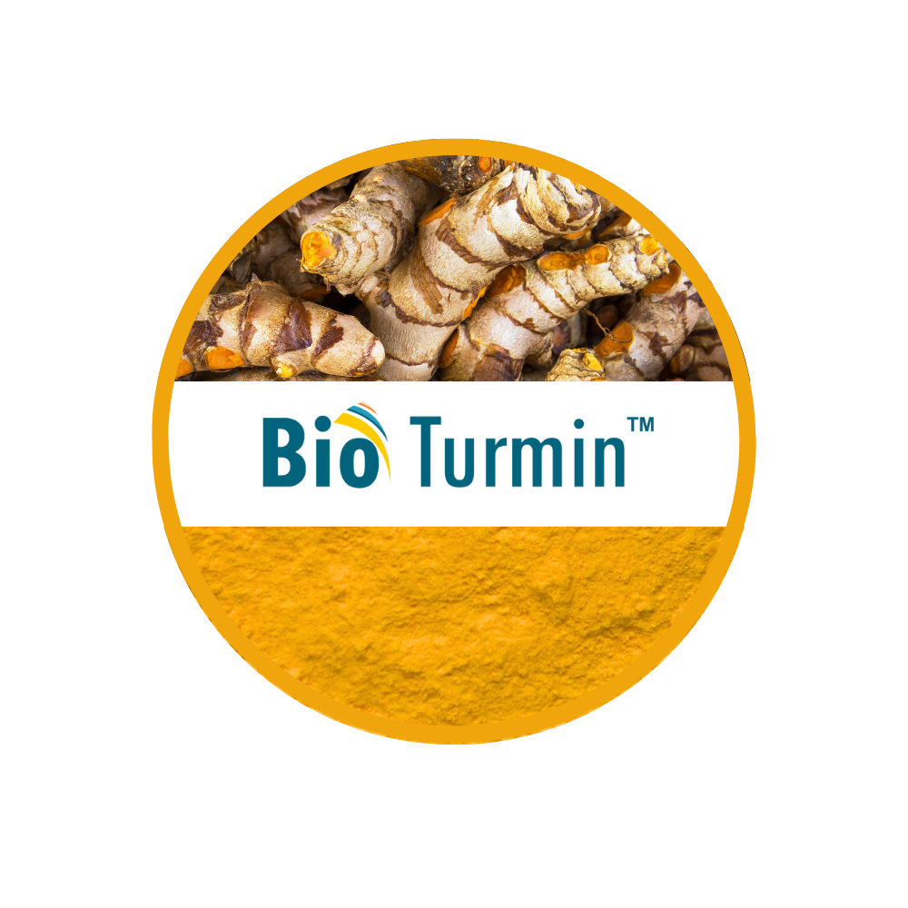 Turmeric rhizome and curcumin powder, source of BioTurmin