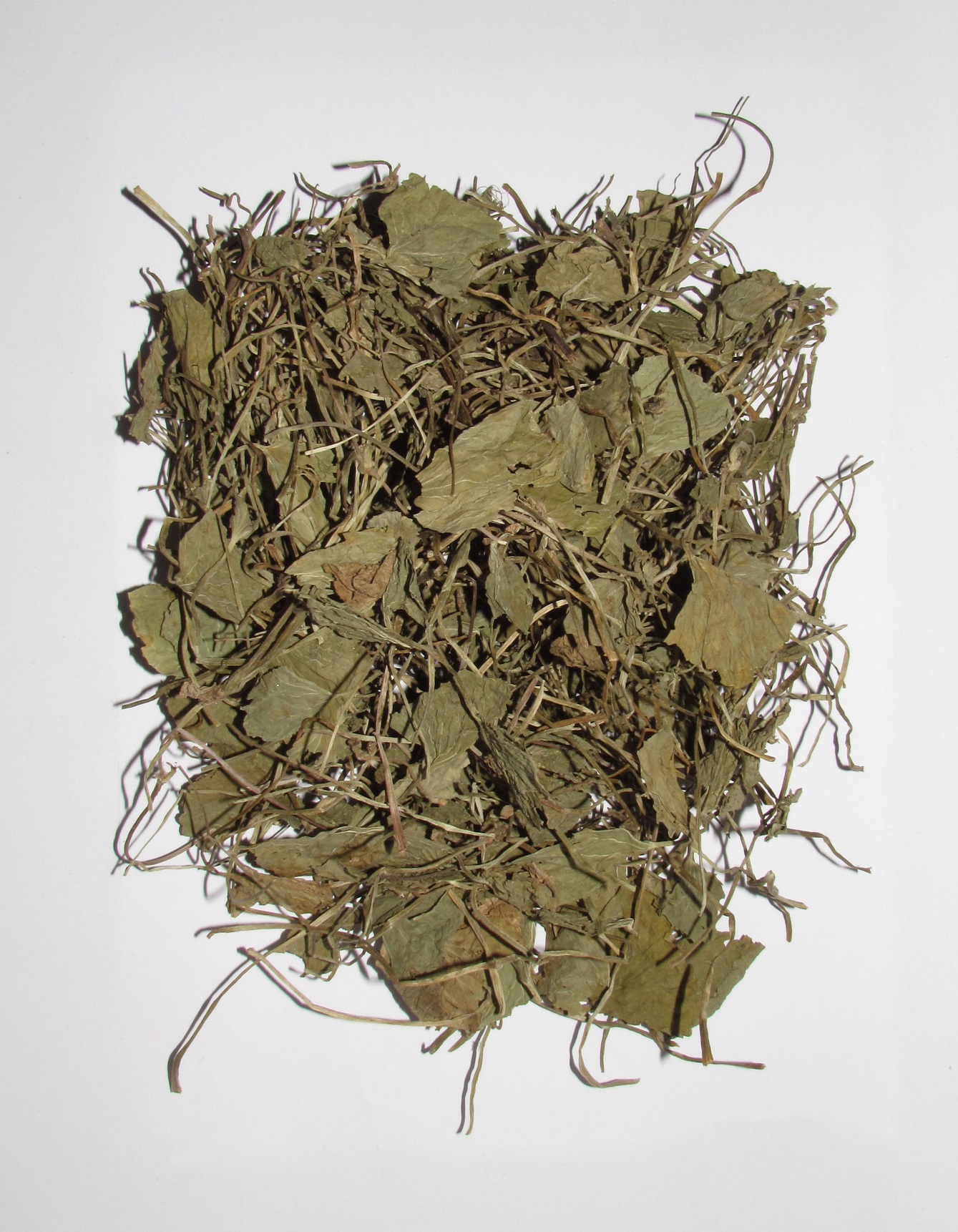 Centella asiatica (Gotu Kola), the source of CenteVia extract