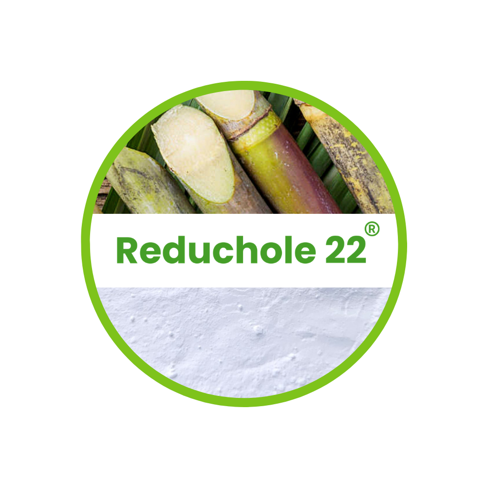 Sugarcane, the source of Reduchole 22 Policosanol, Ingex Germany