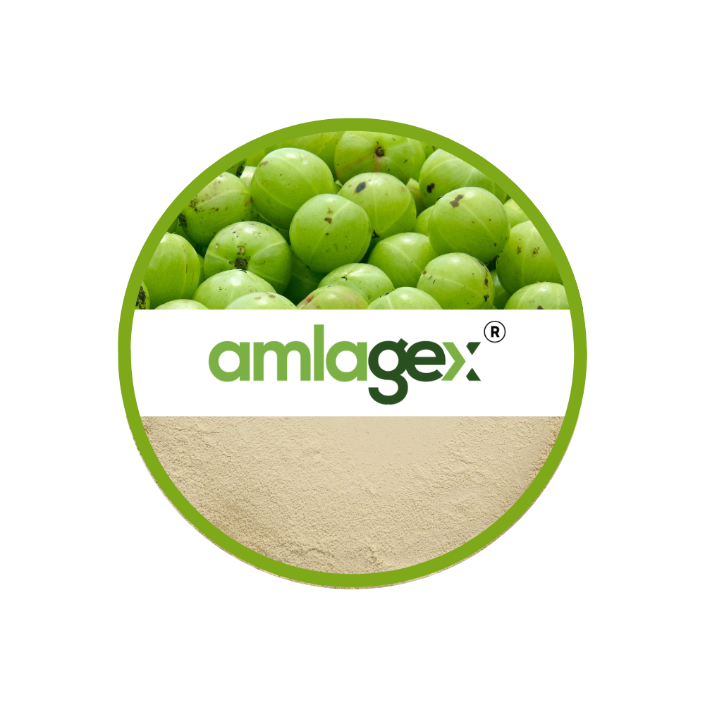 Amla (Indian gooseberry), the source of Amlagex extract